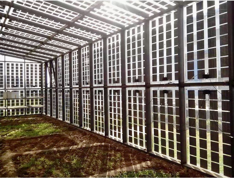 Invernaderos solares BIPV para edificios